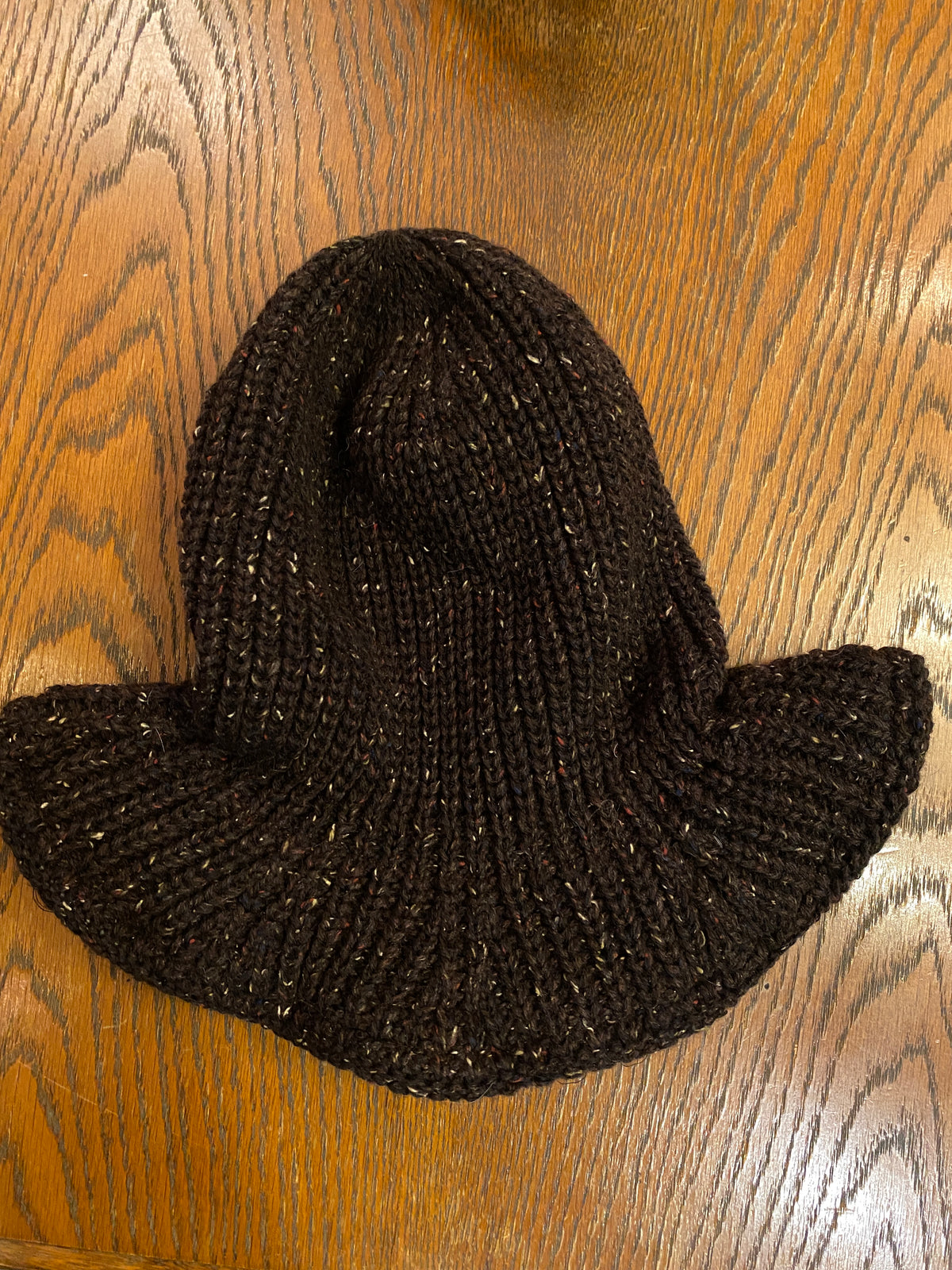 FOUND FEATHER HAT