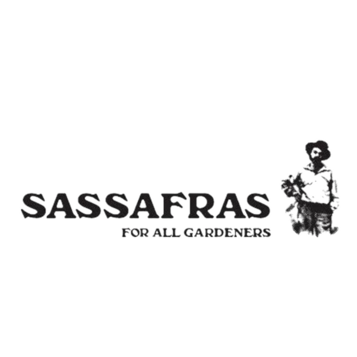 SASSAFRAS